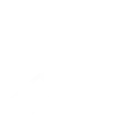 Search